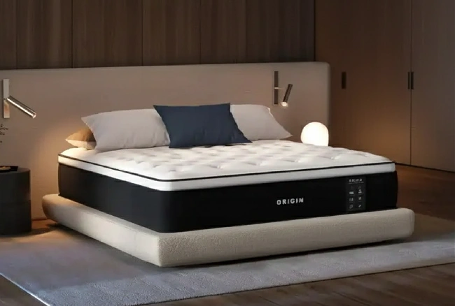 Origin LumbarCloud Review 650